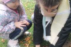 IMG-20221004-WA0000