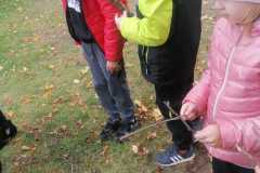 IMG-20221004-WA0001