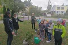 IMG-20221004-WA0002
