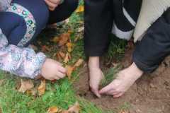 IMG-20221004-WA0004