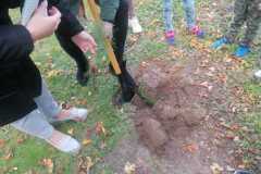 IMG-20221004-WA0007