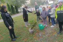 IMG-20221004-WA0009