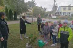 IMG-20221004-WA0011