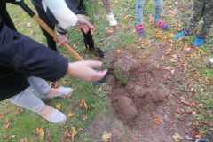 IMG-20221004-WA0012