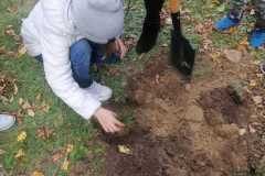 IMG-20221004-WA0013