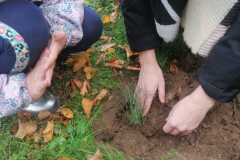 IMG-20221004-WA0014
