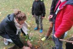 IMG-20221004-WA0015