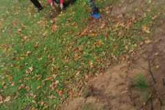IMG-20221004-WA0023