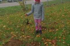 IMG-20221004-WA0024