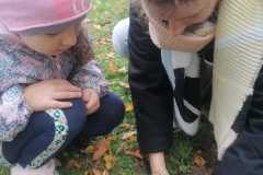 IMG-20221004-WA0025