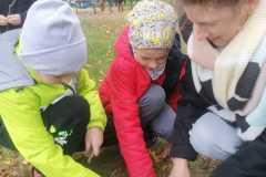 IMG-20221004-WA0027