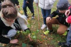 IMG-20221004-WA0028
