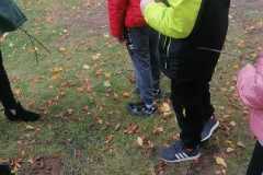 IMG-20221004-WA0031
