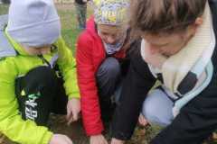 IMG-20221004-WA0032