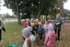 IMG-20221004-WA0033