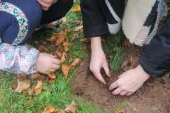 IMG-20221004-WA0034