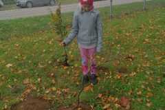 IMG-20221004-WA0035