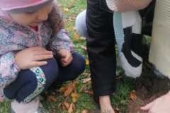 IMG-20221004-WA0036