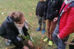 IMG-20221004-WA0037