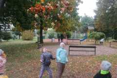 IMG-20221004-WA0038
