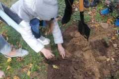 IMG-20221004-WA0040