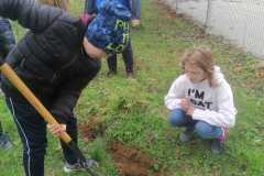 IMG-20221020-WA0034