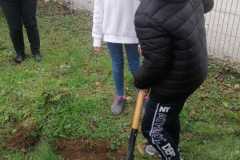 IMG-20221020-WA0037
