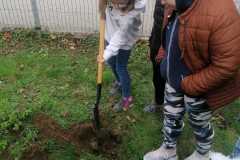 IMG-20221020-WA0039