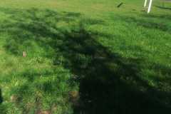 IMG-20221020-WA0042