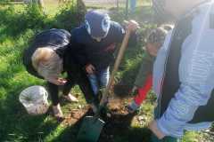 IMG-20221020-WA0044