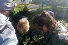 IMG-20221020-WA0046