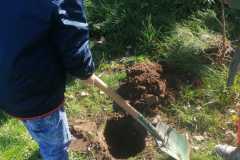 IMG-20221020-WA0049