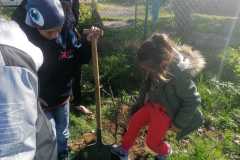 IMG-20221020-WA0050
