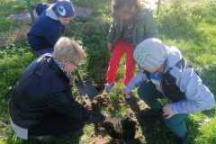 IMG-20221020-WA0052