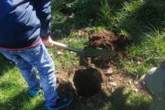 IMG-20221020-WA0056