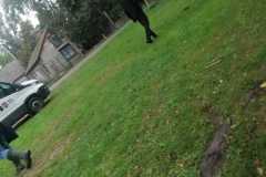 IMG-20221020-WA0019