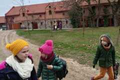 IMG-20221119-WA0010