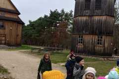 IMG-20221119-WA0011