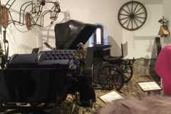 IMG-20221121-WA0005