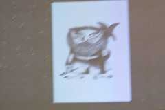 IMG-20221121-WA0029