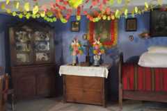 IMG-20221121-WA0041