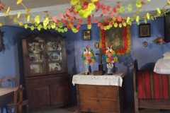 IMG-20221121-WA0050