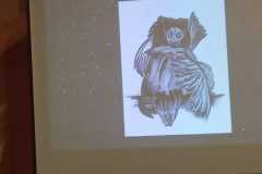 IMG-20221121-WA0064